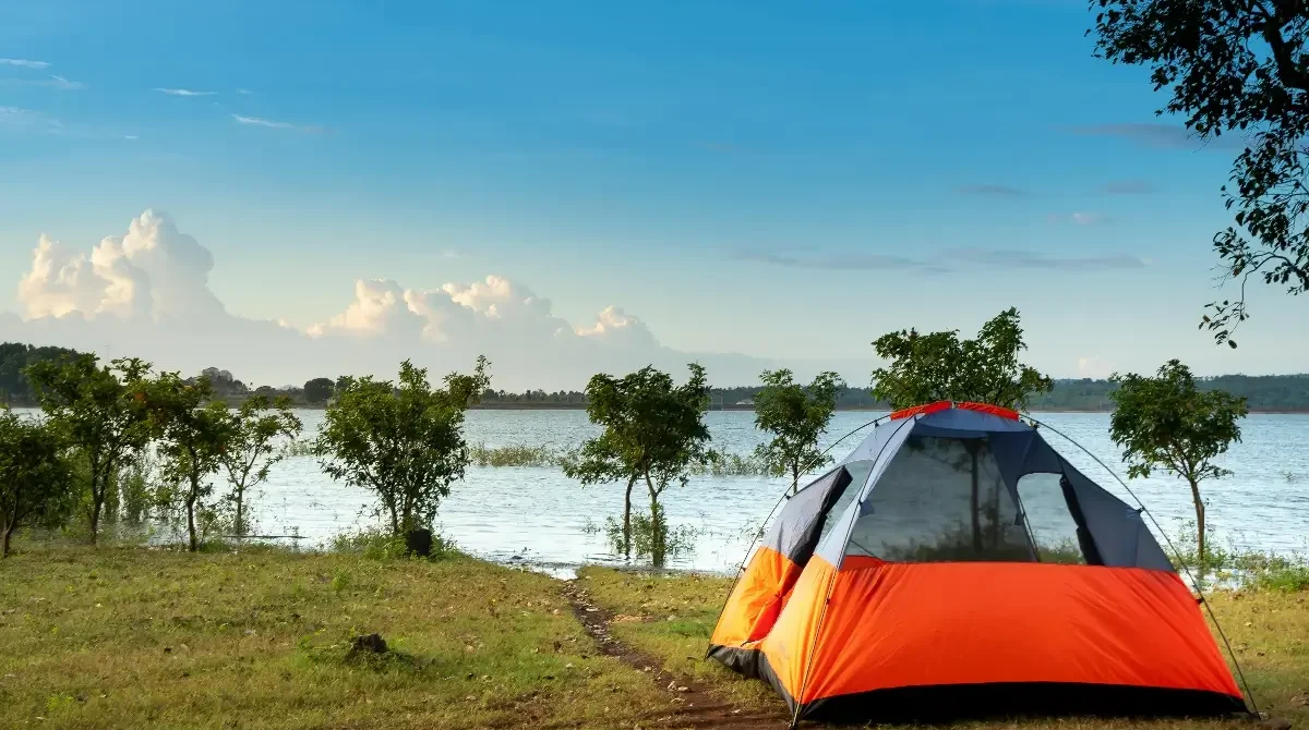 The Great Migration: Nature’s Most Spectacular Show