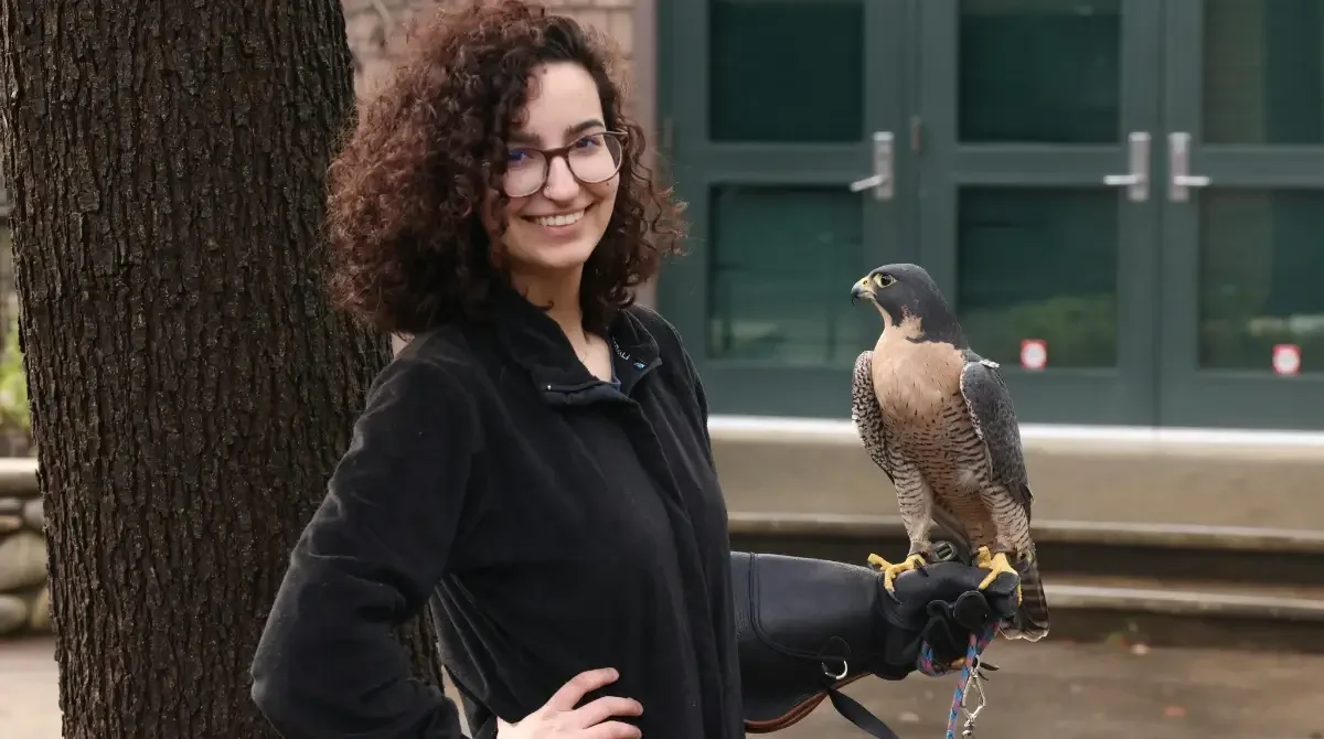 Stories From the Wild: A Traveler’s Perspective